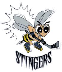 New England Stingers Roller Hockey International