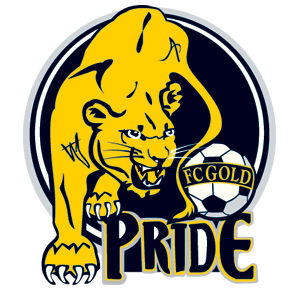 Ilisa Kessler Interview FC Gold Pride Soccer