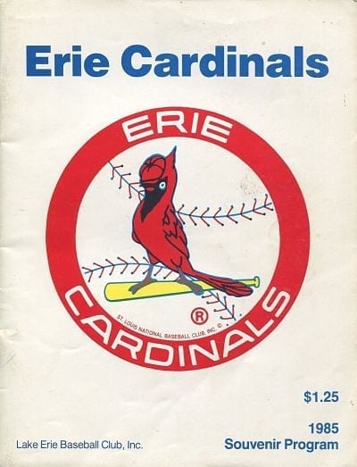 Vintage St. Louis Cardinals 1947 Roster Print T-Shirt by Big 88