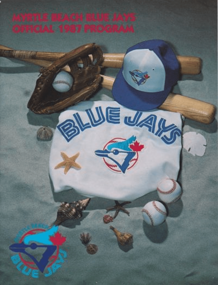 Myrtle Beach Blue Jays South Atlantic League Baseball