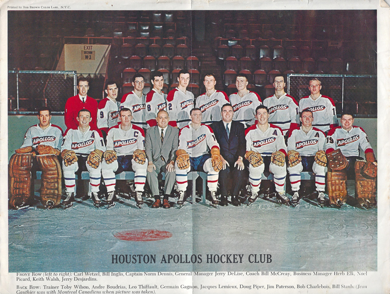 A revival of the International Hockey League. Houston Flight