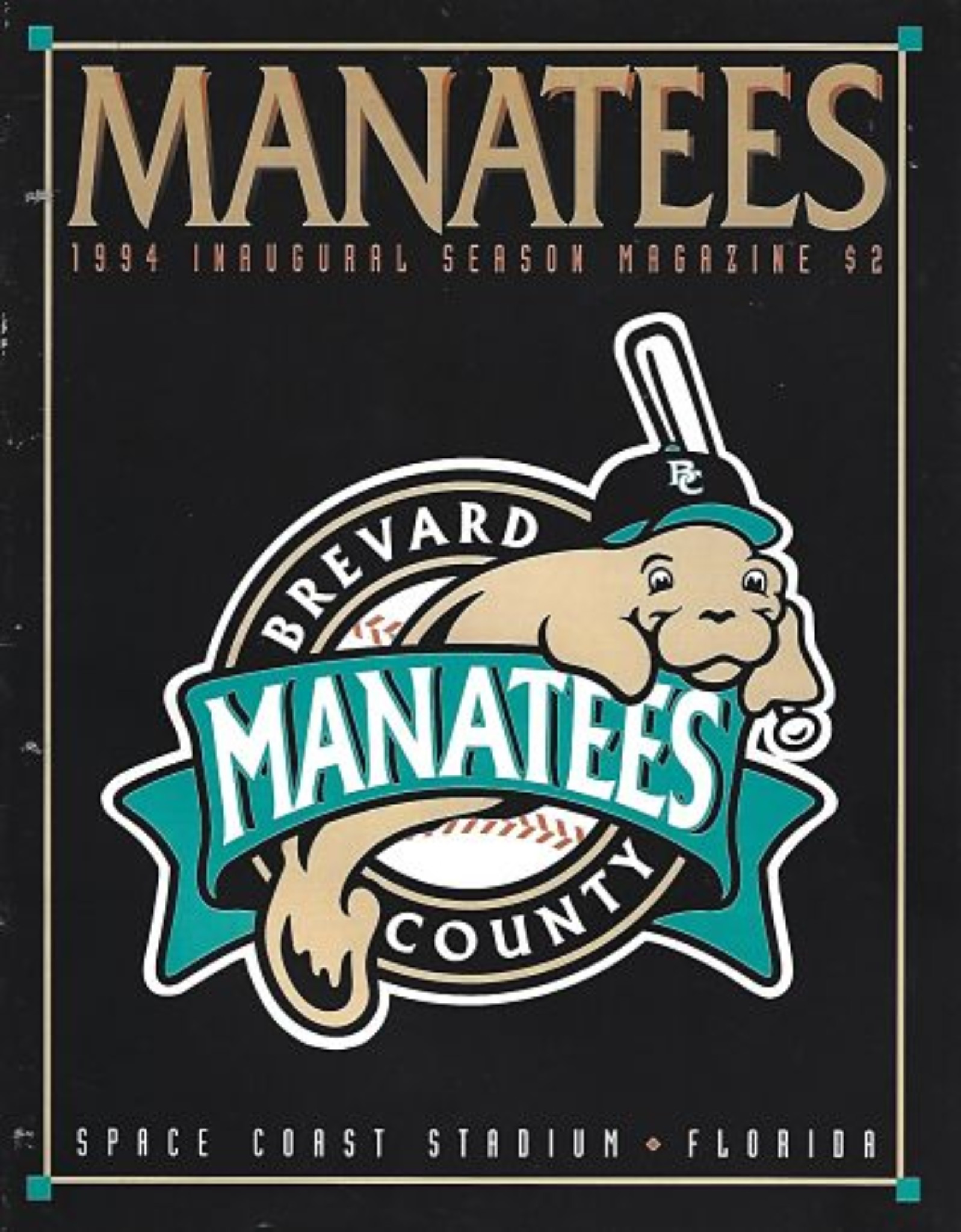 Brevard County Manatees • Fun While It Lasted