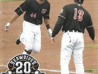 Steven Moya Erie SeaWolves