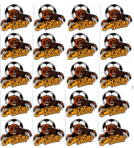 San Jose Grizzlies Logo