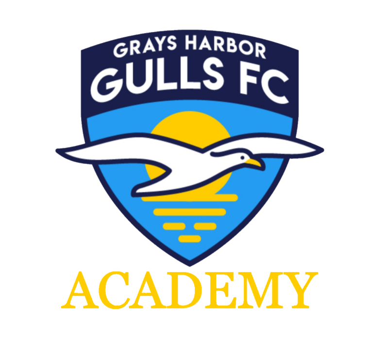 Grays Harbor Gulls
