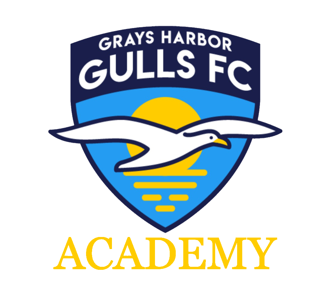 Grays Harbor Gulls