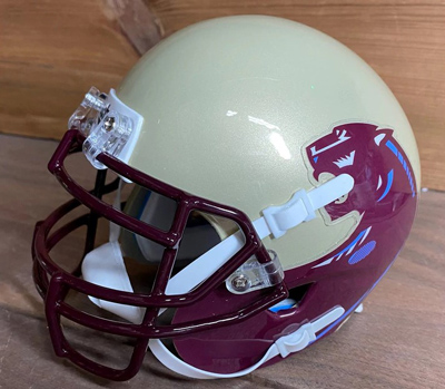 Florida A&M White Riddell Mini Football Helmet - 417 Helmets